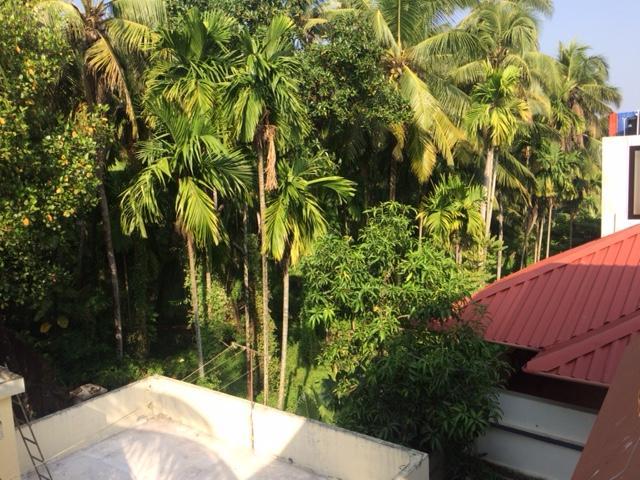 Greenview Homestay Kochi Εξωτερικό φωτογραφία